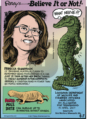 Ripley's Believe It or Not on Wednesday June 7, 2017 Comic Strip