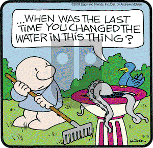Ziggy on Thursday August 15, 2019 Comic Strip