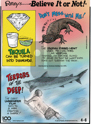 Ripley's Believe It or Not on Saturday April 6, 2019 Comic Strip