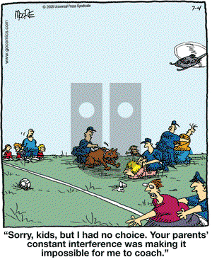 In the Bleachers on Friday July 4, 2008 Comic Strip