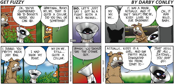 Get Fuzzy on Sunday July 17, 2005 Comic Strip