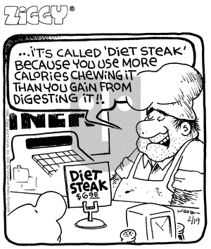 Ziggy on Monday February 19, 1996 Comic Strip