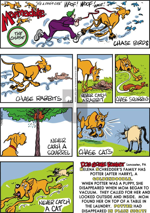 Marmaduke on Sunday April 10, 2016 Comic Strip