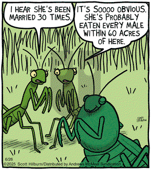 The Argyle Sweater on Thursday June 26, 2025 Comic Strip