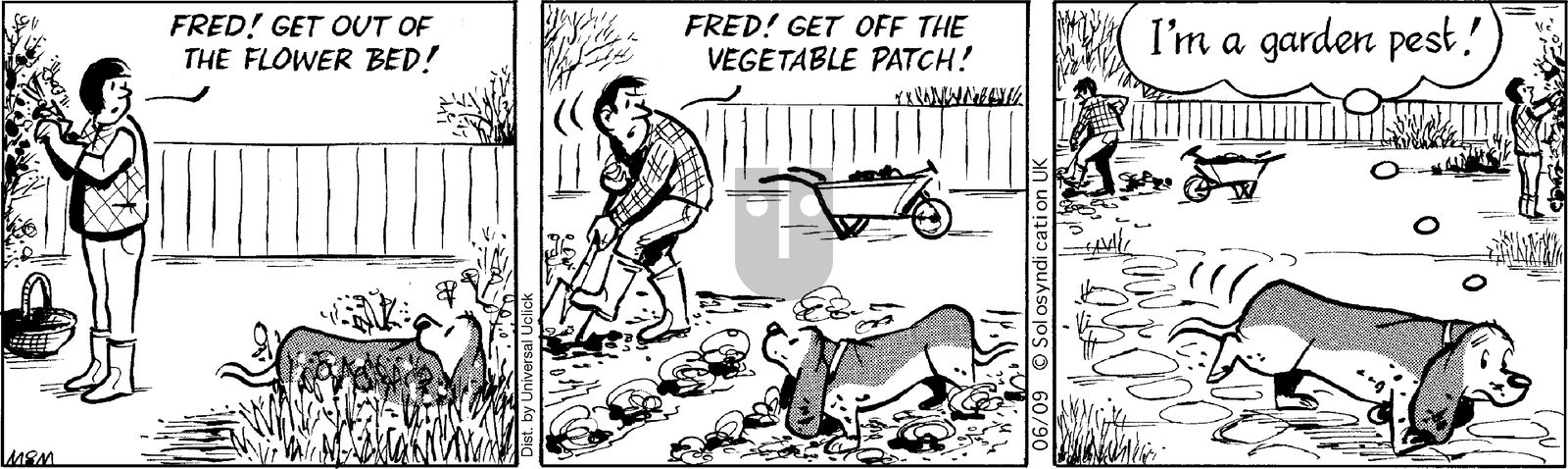 Fred Basset on Monday June 9, 2014 Comic Strip