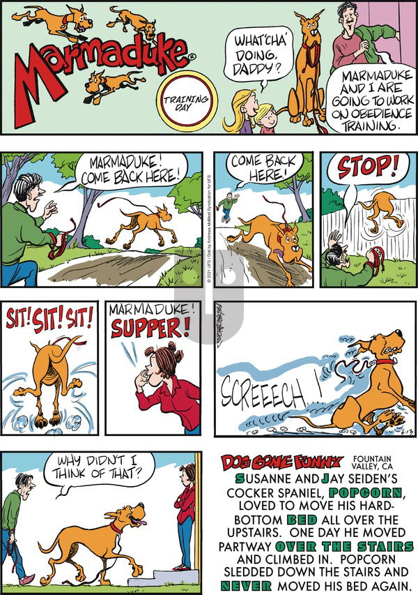 Marmaduke on Sunday June 13, 2021 Comic Strip