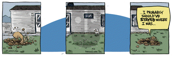 Bob the Squirrel on Monday June 9, 2025 Comic Strip