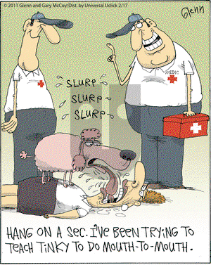 The Flying McCoys on Thursday February 17, 2011 Comic Strip