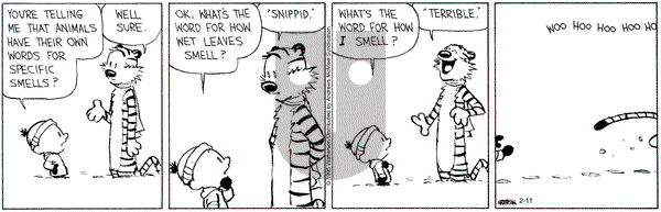 Calvin and Hobbes on Tuesday February 11, 2025 Comic Strip