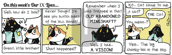 Breaking Cat News on Monday June 1, 2020 Comic Strip
