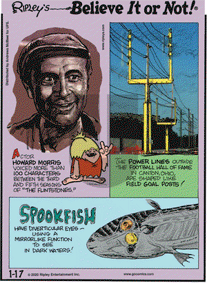 Ripley's Believe It or Not on Friday January 17, 2020 Comic Strip