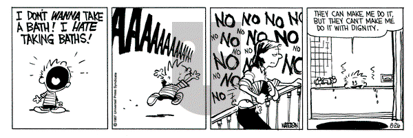 Calvin and Hobbes on Wednesday August 26, 1987 Comic Strip