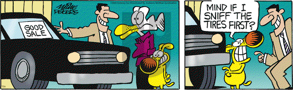 Mother Goose and Grimm on Thursday July 24, 2025 Comic Strip