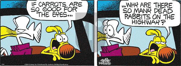 Mother Goose and Grimm - Monday February 19, 2024 Comic Strip