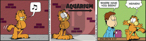 Garfield on Tuesday May 22, 2012 Comic Strip