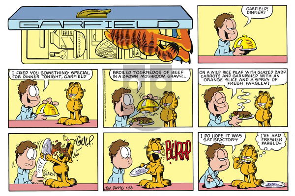 Garfield on Sunday January 26, 1997 Comic Strip