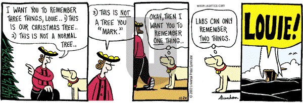 Overboard on Friday December 20, 2002 Comic Strip