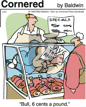 Cornered - Saturday March 21, 1998 Comic Strip