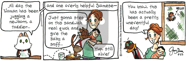 Breaking Cat News on Wednesday July 25, 2018 Comic Strip