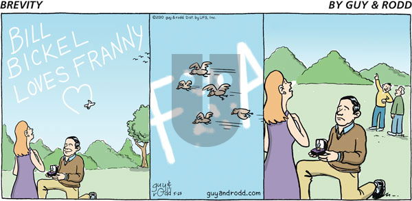 Brevity - Sunday May 23, 2010 Comic Strip