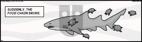 F Minus on Tuesday September 2, 2008 Comic Strip
