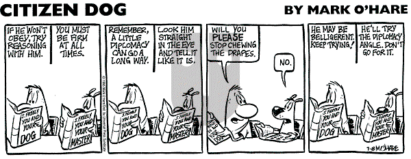 Citizen Dog on Monday June 30, 2025 Comic Strip