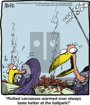 In the Bleachers on Friday July 15, 2016 Comic Strip