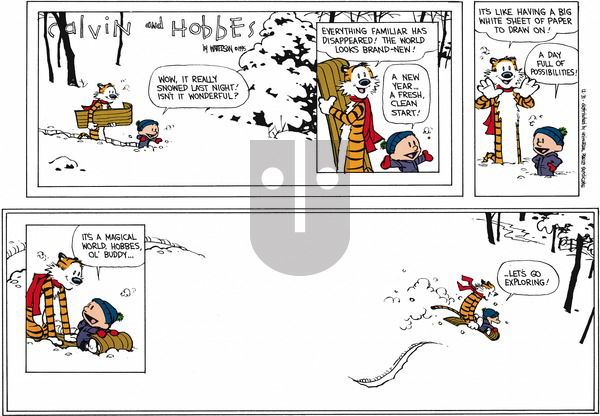 Calvin and Hobbes - Sunday December 31, 1995 Comic Strip