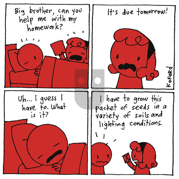 Haircut Practice on Monday May 6, 2024 Comic Strip