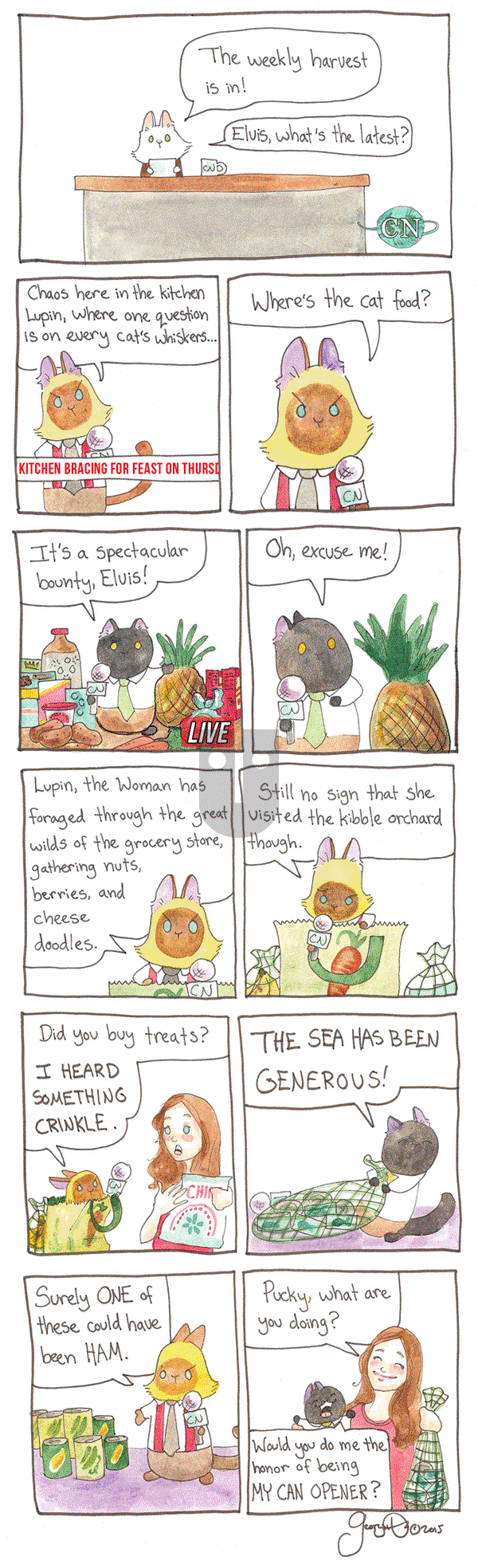Breaking Cat News on Friday February 17, 2017 Comic Strip