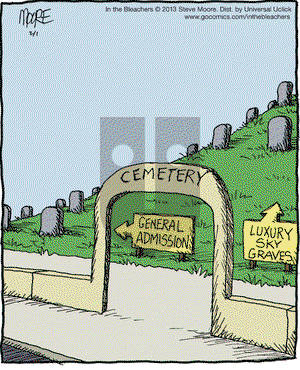 In the Bleachers on Friday February 1, 2013 Comic Strip