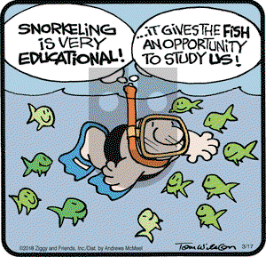 Ziggy on Saturday March 17, 2018 Comic Strip
