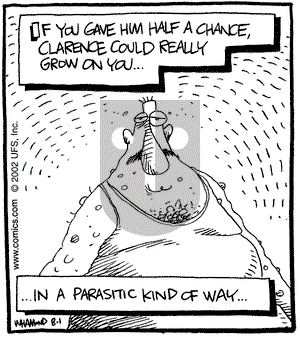 Reality Check on Thursday August 1, 2002 Comic Strip