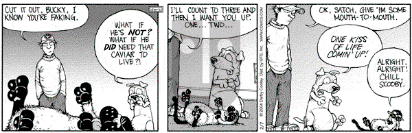 Get Fuzzy on Saturday February 7, 2004 Comic Strip