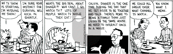 Calvin and Hobbes - Tuesday June 19, 1990 Comic Strip