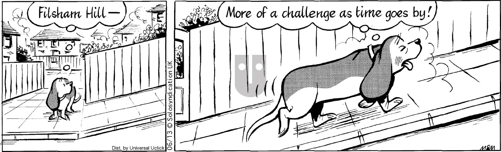 Fred Basset on Friday June 13, 2014 Comic Strip