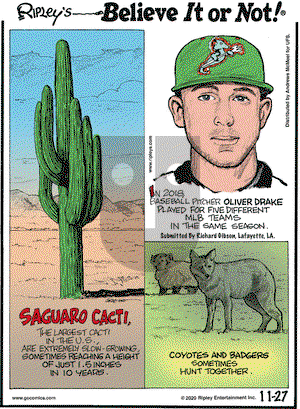 Ripley's Believe It or Not on Friday November 27, 2020 Comic Strip