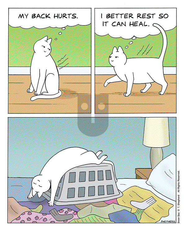 Snow Sez on Tuesday March 5, 2024 Comic Strip