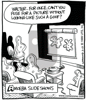 Reality Check on Saturday March 13, 1999 Comic Strip