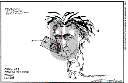 Views of the World on Wednesday July 23, 2008 Comic Strip