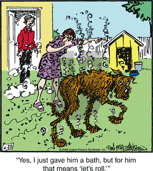 Marmaduke on Monday June 22, 2009 Comic Strip