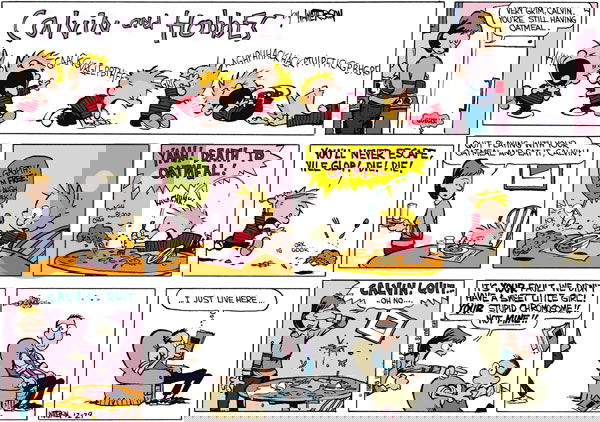 Calvin and Hobbes on Sunday December 29, 1985 Comic Strip
