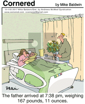 Cornered on Saturday November 11, 2017 Comic Strip