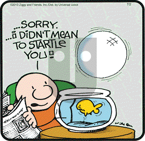 Ziggy on Tuesday July 2, 2013 Comic Strip
