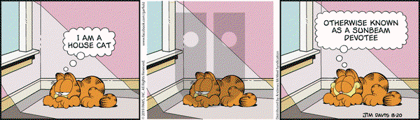 Garfield on Tuesday August 20, 2019 Comic Strip