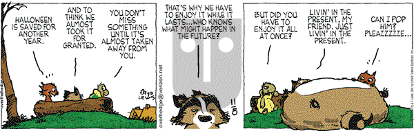 Over the Hedge on Saturday November 8, 2008 Comic Strip