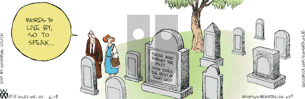 Non Sequitur - Tuesday June 18, 2013 Comic Strip