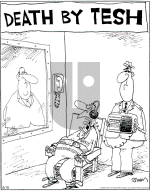 The Flying McCoys on Saturday June 18, 2005 Comic Strip