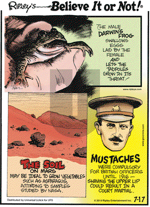 Ripley's Believe It or Not on Thursday July 17, 2014 Comic Strip