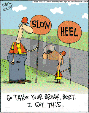The Flying McCoys on Thursday July 30, 2015 Comic Strip
